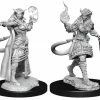 WIZKIDS Miniature Games Dungeons & Dragons: Nolzur`s Marvelous Tiefling Sorcerer Female W15 Miniatures