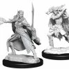 WIZKIDS Dungeons & Dragons: Nolzur`s Marvelous Winter Eladrin & Spring Eladrin W15 Miniatures