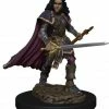 WIZKIDS Pathfinder Battles: Premium Painted Figure: Human Bard Female W2 Miniatures