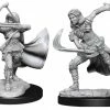 WIZKIDS Dungeons & Dragons: Nolzur`s Marvelous Unpainted Miniatures: Air Genasi Female W15 Miniature Games