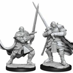 WIZKIDS Dungeons & Dragons: Nolzur`s Marvelous Half-Orc Paladin Male W15 Miniatures Miniature Games