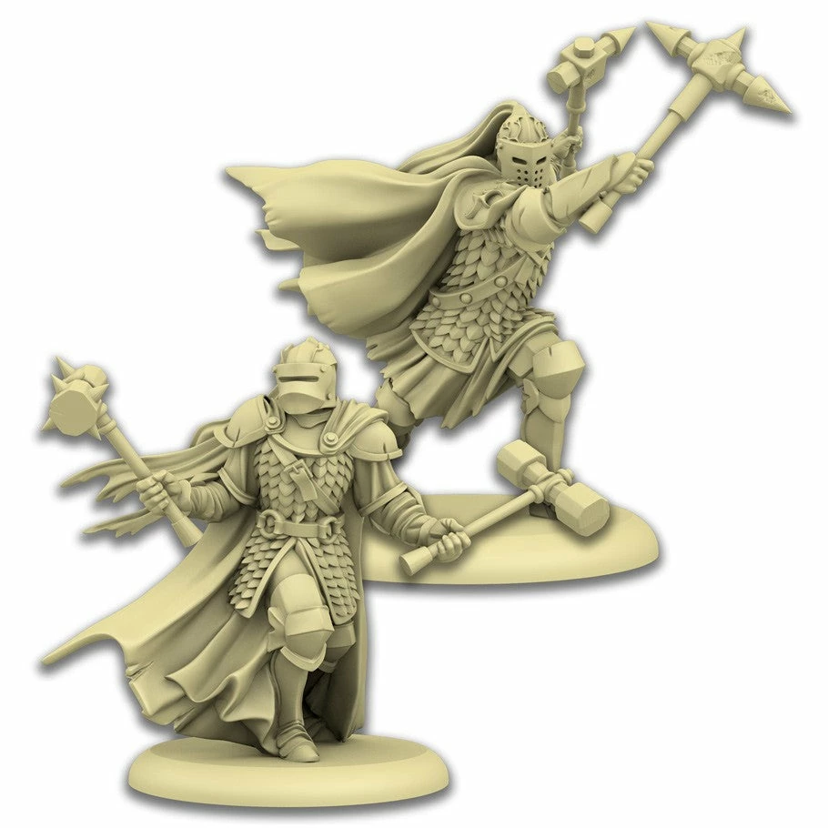 CMON Miniature Games A Song Of Ice And Fire: Baratheon Sentinels Miniatures 5 CMON Miniature Games A Song Of Ice And Fire: Baratheon Sentinels Miniatures
