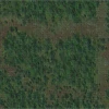 WIZKIDS Dungeons & Dragons: Icons Of The Realms: Forest Battle Mat [In Stock]