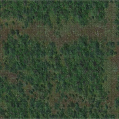 WIZKIDS Dungeons & Dragons: Icons Of The Realms: Forest Battle Mat [In Stock]