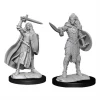 WIZKIDS Pathfinder: Deep Cuts Minis: Human Champion Female W14 Miniatures (Pre-order) Miniature Games