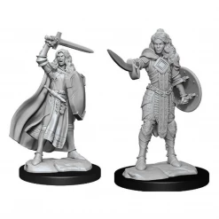 WIZKIDS Pathfinder: Deep Cuts Minis: Human Champion Female W14 Miniatures (Pre-order) Miniature Games