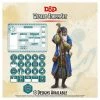 GALE FORCE 9 Dungeons & Dragons: Character Token Set: Wizard
