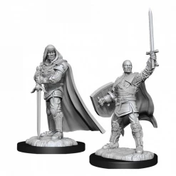 WIZKIDS Dungeons And Dragons D&D: Nolzur's Marvelous Minis: Human Paladin Male W13 Miniatures
