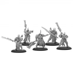 PRIVATEER PRESS, INC Miniature Games Warmachine: Retribution Of Scyrah: House Ellowuyr Wardens Miniatures Set