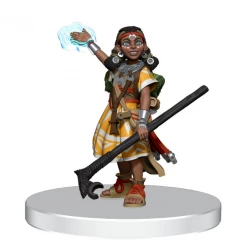 WIZKIDS Miniature Games Pathfinder Battles: Advanced Iconic Heroes Miniatures [In Stock]