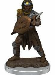 WIZKIDS Dungeons & Dragons: Icons Of The Realms Premium Figures W7 Male Human Fighter Fantasy Miniatures