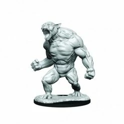 WIZKIDS Miniature Games Critical Role: Aeorian Reverser W1 Miniatures [Pre-order]