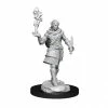 WIZKIDS Critical Role: Pallid Elf Rogue And Bard Male W1 Miniatures Miniature Games
