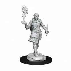 WIZKIDS Critical Role: Pallid Elf Rogue And Bard Male W1 Miniatures Miniature Games
