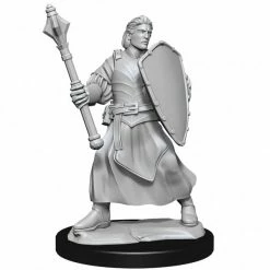 WIZKIDS Miniature Games Critical Role: Human Clovis Concord Cleric Male W1 Miniatures