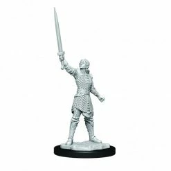 WIZKIDS Miniature Games Critical Role: Human Dwendalian Empire Fighter Female1 W1 Miniatures [Pre-order]
