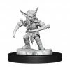 WIZKIDS Critical Role: Goblin Sorceror And Rogue Female W1 Miniatures [Pre-order] Miniature Games