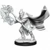 WIZKIDS Critical Role: Hobgoblin Wizard And Druid Male W1 Miniatures