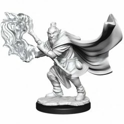 WIZKIDS Critical Role: Hobgoblin Wizard And Druid Male W1 Miniatures