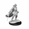 WIZKIDS Critical Role: Half-Elf Paladin Xhorhas Female W1 Miniatures [Pre-order]