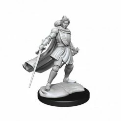 WIZKIDS Critical Role: Half-Elf Paladin Xhorhas Female W1 Miniatures [Pre-order]