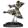 WIZKIDS Miniature Games Dungeons And Dragons D&D: Icons Of The Realms IR: Human Monk Female Premium Miniatures