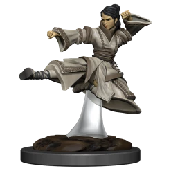 WIZKIDS Miniature Games Dungeons And Dragons D&D: Icons Of The Realms IR: Human Monk Female Premium Miniatures
