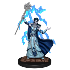 WIZKIDS Dungeons And Dragons D&D: Icons Of The Realms IR: Elf Wizard Female Premium Miniatures