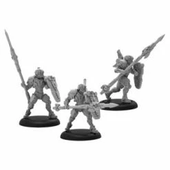 PRIVATEER PRESS Miniature Games Warcaster: Iron Star Alliance: Paladin Defenders Miniatures