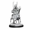 WIZKIDS Starfinder: Deep Cuts Minis: Shirren Technomancer Wave 15 Unpainted Miniatures Miniature Games