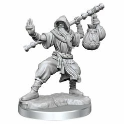 WIZKIDS Dungeons And Dragons D&D: Frameworks: Human Monk Male W1 Miniatures [Pre-order]