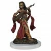 WIZKIDS Pathfinder Battles: Premium Painted Figure: Female Human Bard