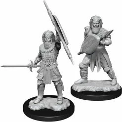 WIZKIDS Dungeons And Dragons: Nolzur's Marvelous Minis: Human Fighter Male W13 Miniatures