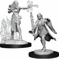 WIZKIDS Miniature Games Dungeons And Dragons D&D: Nolzur's Marvelous Minis: Multiclass Warlock Sorcerer Female W13 Miniatures