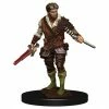 DUNGEONS & DRAGONS D&D: IR: Prem: Human Rogue Male Miniatures Miniature Games