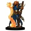 DUNGEONS & DRAGONS D&D: IR:Prem: Dragonborn Sorcerer Female Miniatures