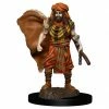 DUNGEONS & DRAGONS D&D: IR: Prem: Human Druid Male Miniatures 2 DUNGEONS & DRAGONS D&D: IR: Prem: Human Druid Male Miniatures